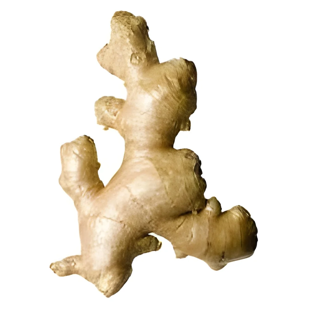resizeImages/ODQ0Mg==/mediabank/images/products/Ginger522902218_8442.webp
