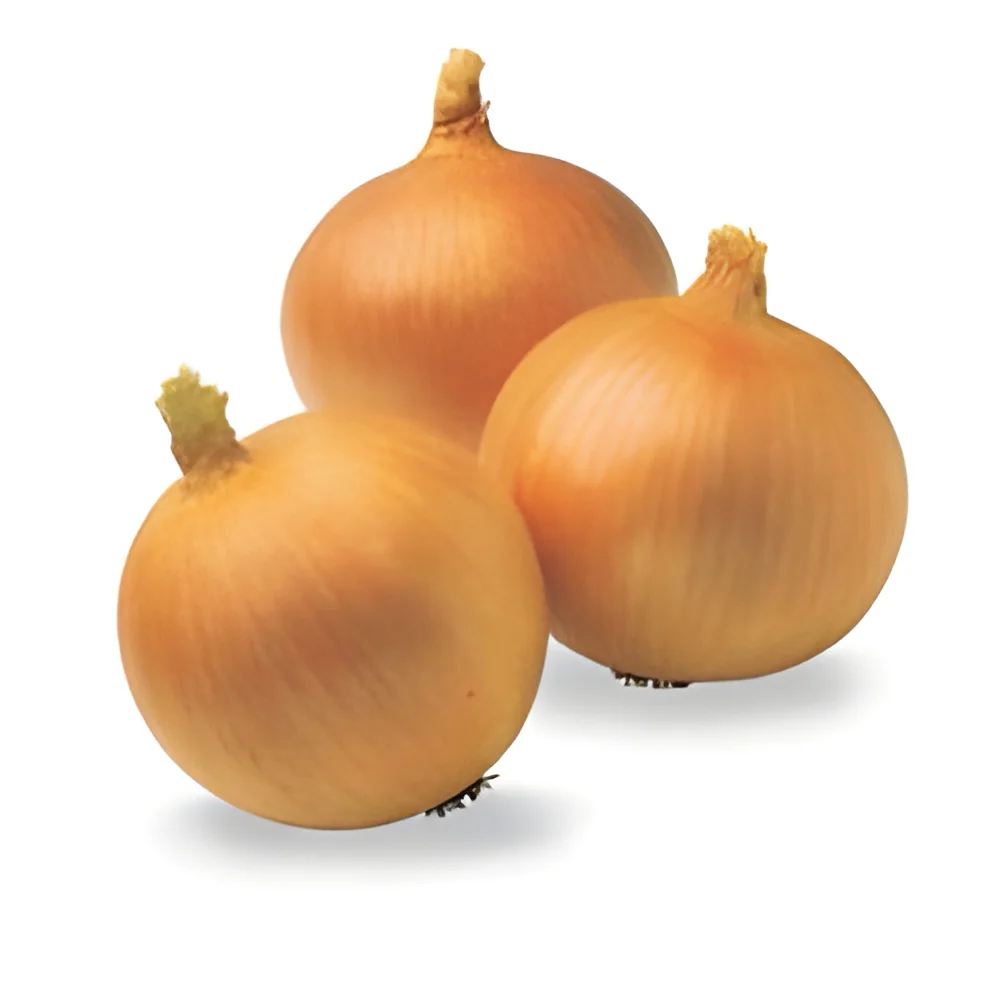 resizeImages/ODQ0Mg==/mediabank/images/products/Onion571885942_8442.webp