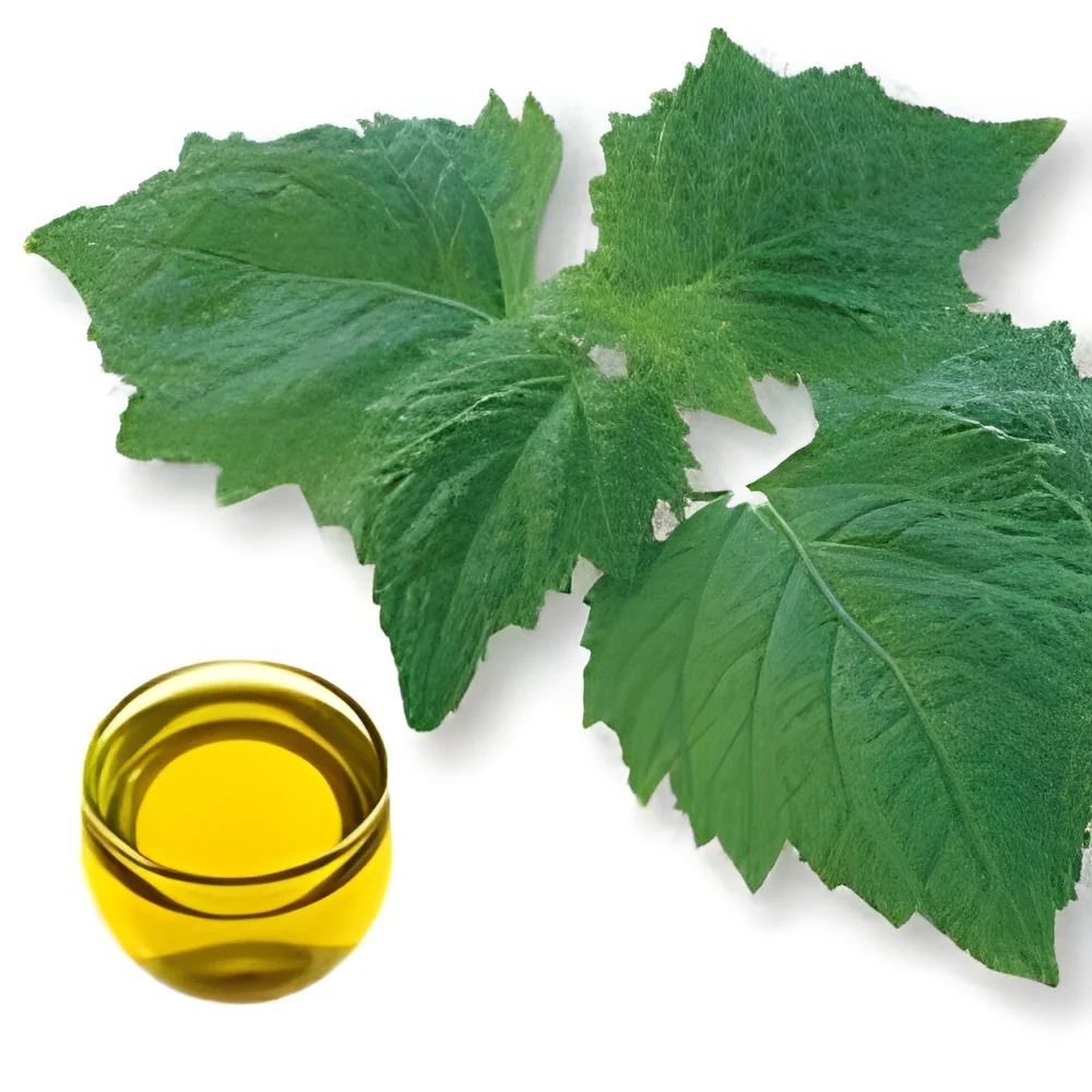 resizeImages/ODQ0Mg==/mediabank/images/products/PungaOil242371592_8442.webp
