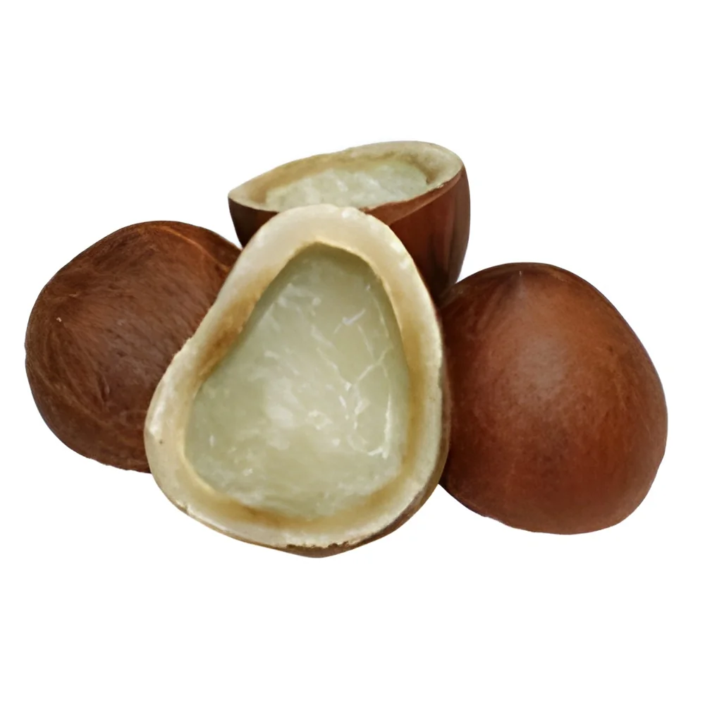resizeImages/ODQ5NQ==/mediabank/images/products/DryCoconut1681667505_8495.webp