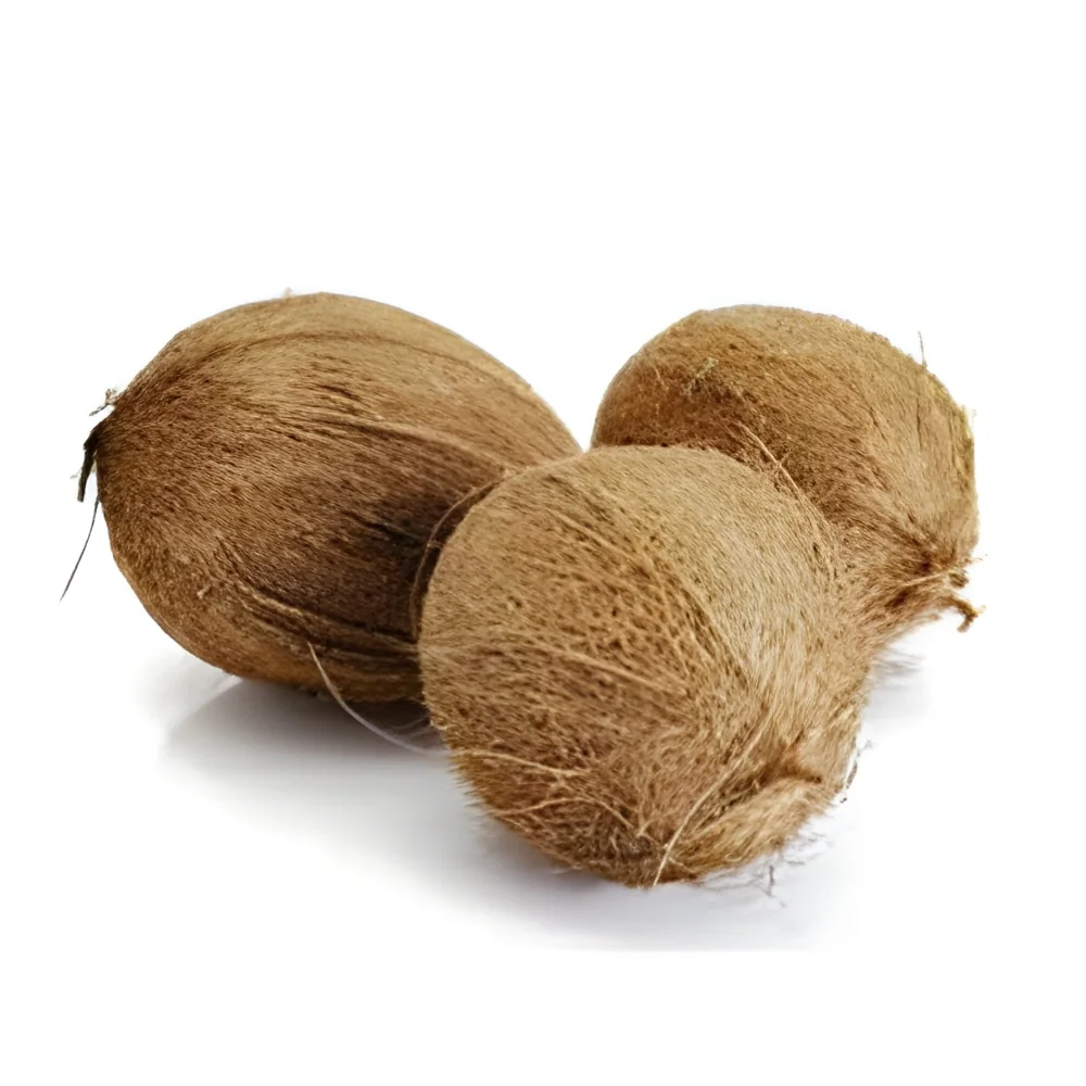 resizeImages/ODQ5NQ==/mediabank/images/products/HuskedCoconut1631896604_8495.webp