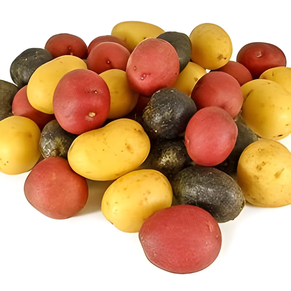 product-image-1