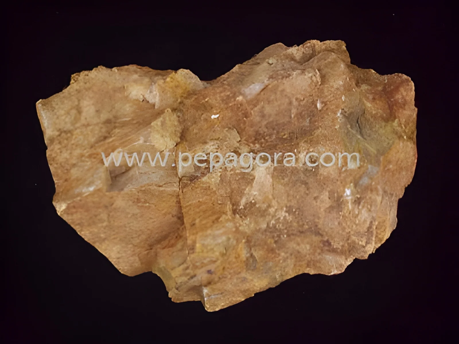 product-image-1