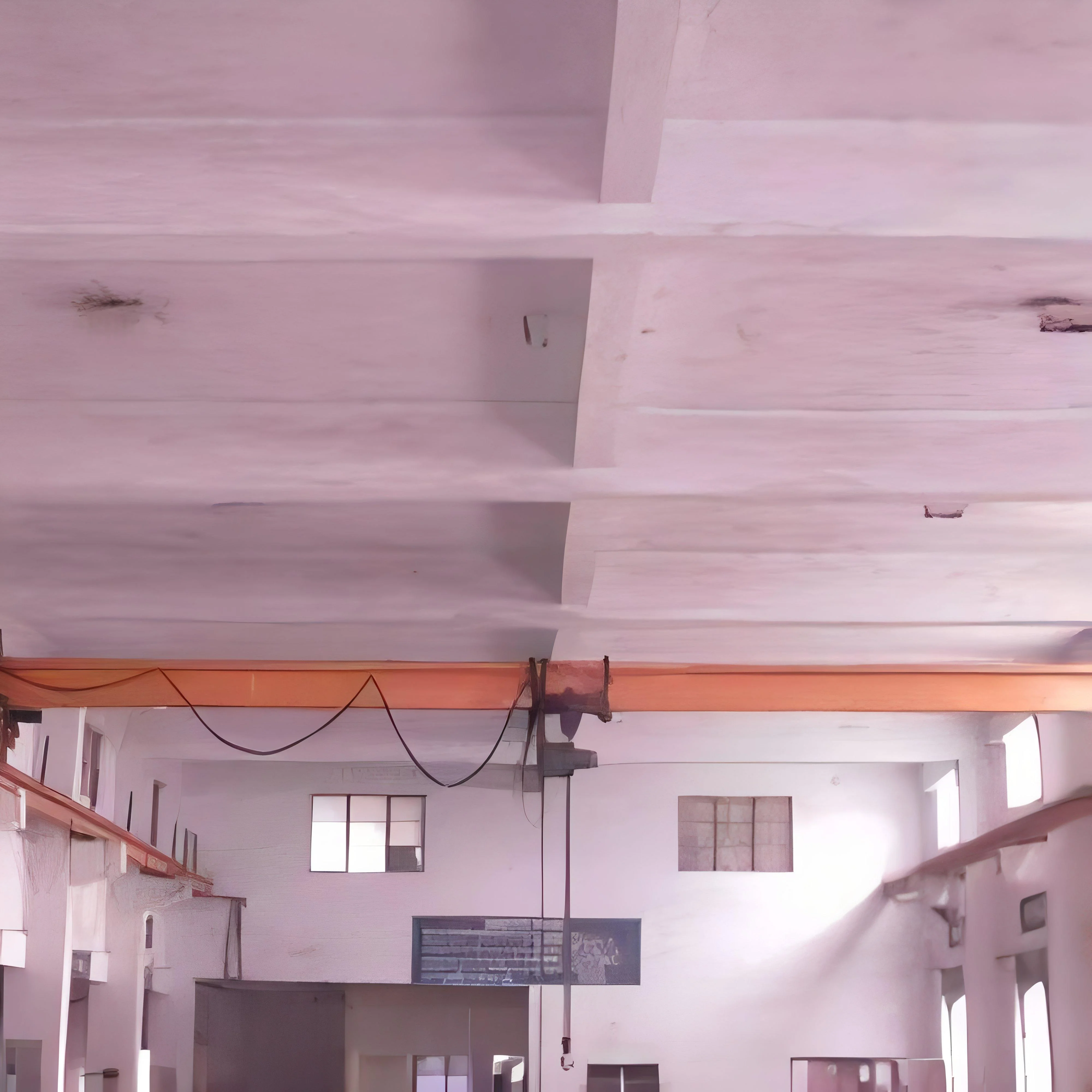 resizeImages/ODg3/mediabank/images/products/partial-eot-cranes-250x250.webp