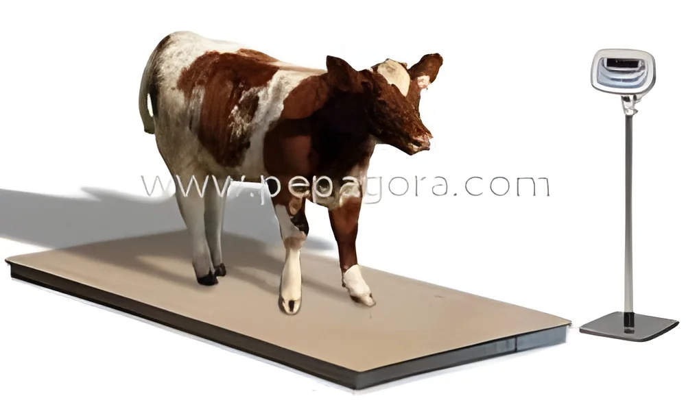 resizeImages/OTAwMA==/mediabank/images/products/CattleWeighingScale763261334_9000.webp