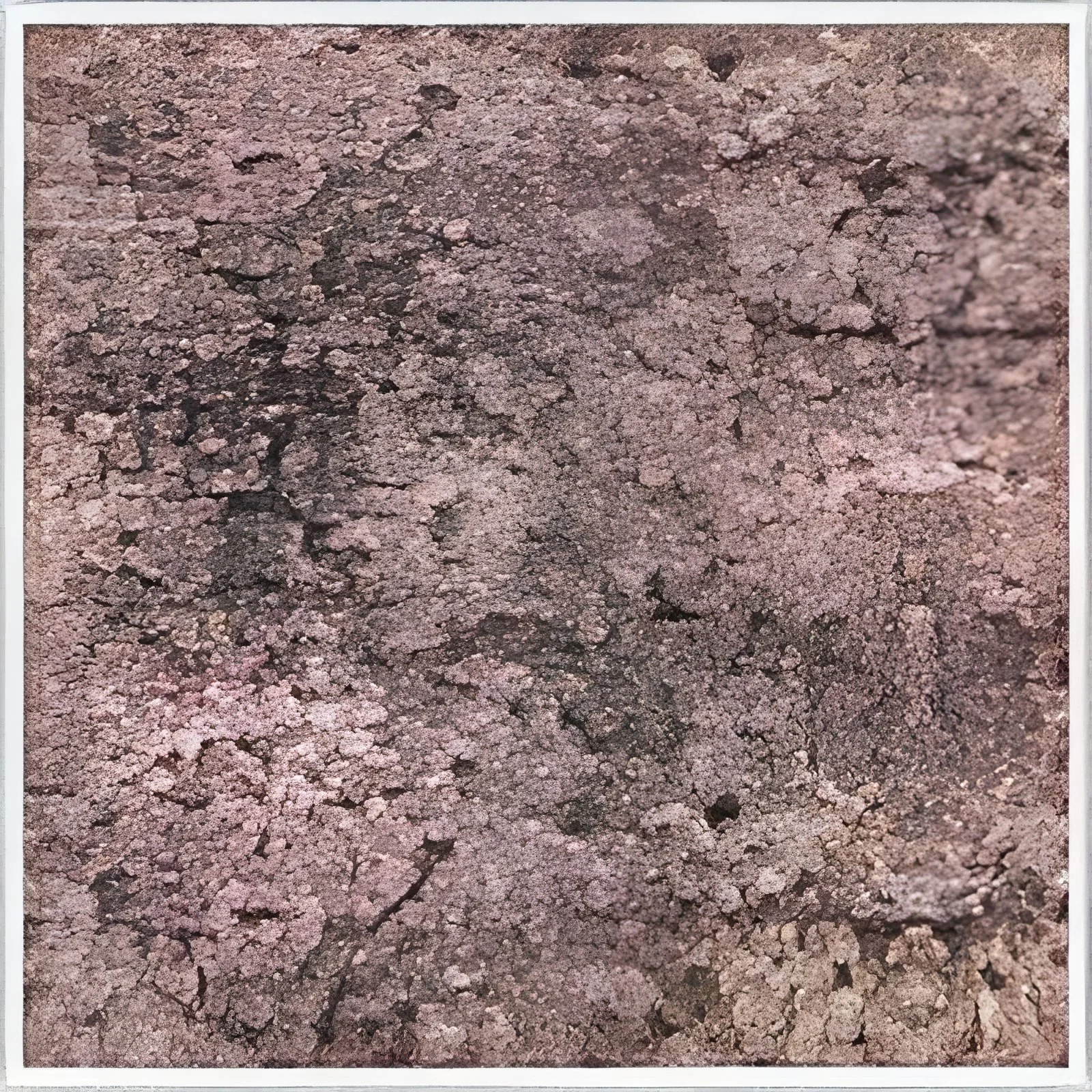 resizeImages/OTIzMg==/mediabank/images/products/BalaFlowerGranite805175336_9232.webp