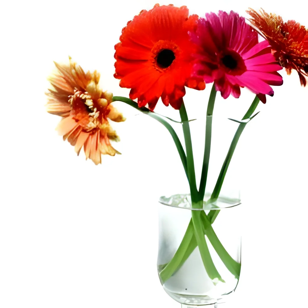 resizeImages/OTQwMQ==/mediabank/images/products/CutFlowers397963215_9401.webp