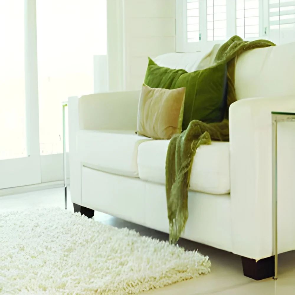 resizeImages/OTU0/mediabank/images/products/area-rugs-250x250_1.webp