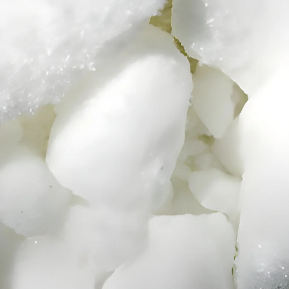 resizeImages/OTc1/mediabank/images/products/Camphor1824012927_975.webp