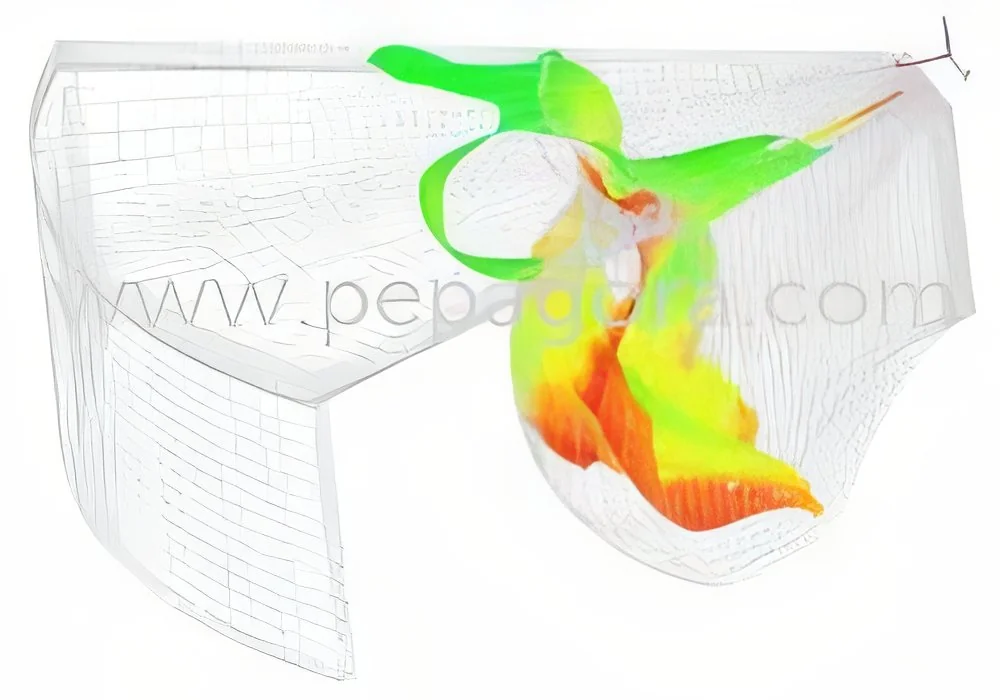 product-image-1